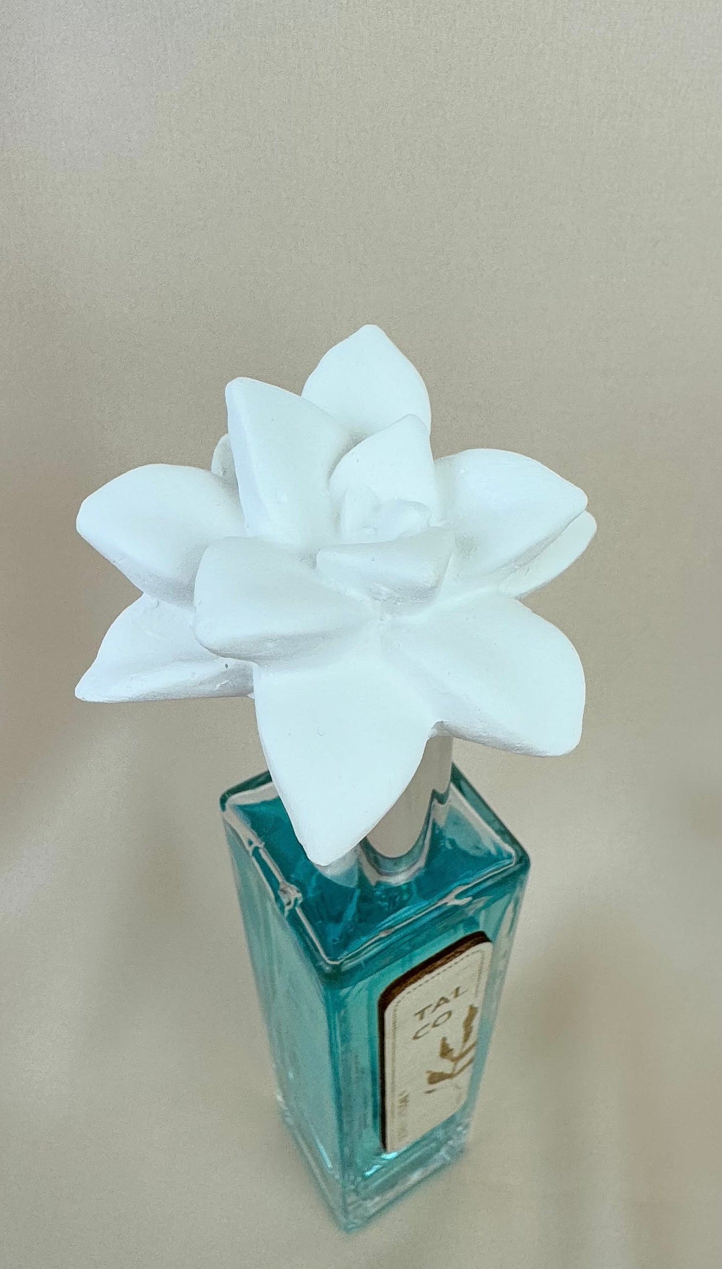 Cheirinho de PipaXila