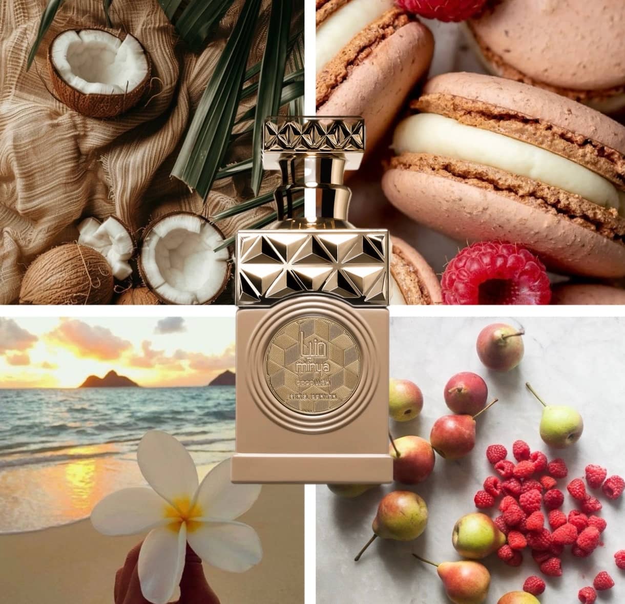 Minya Coco Lush 100ml