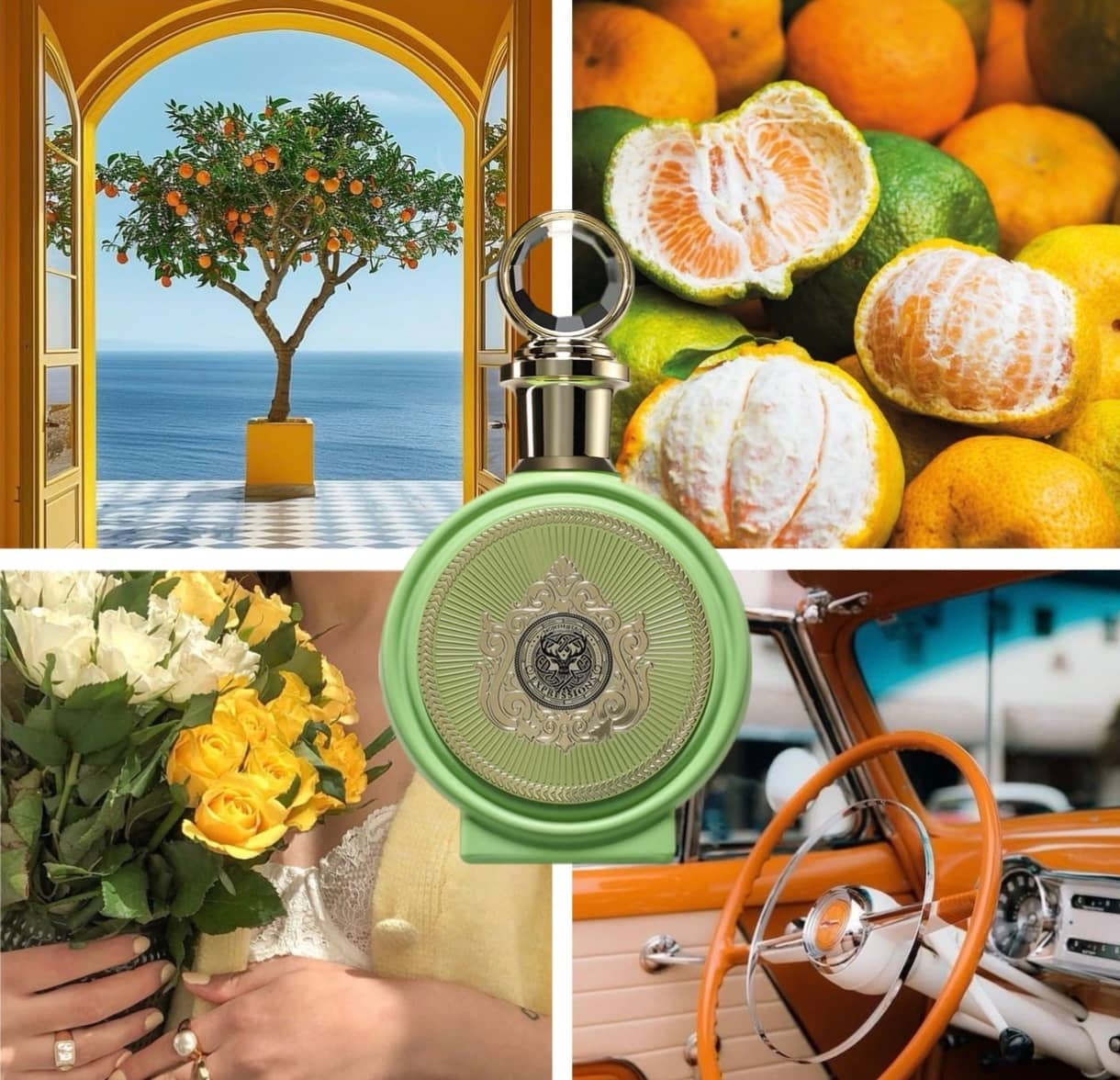 North Stag Expressions Trois 100ml