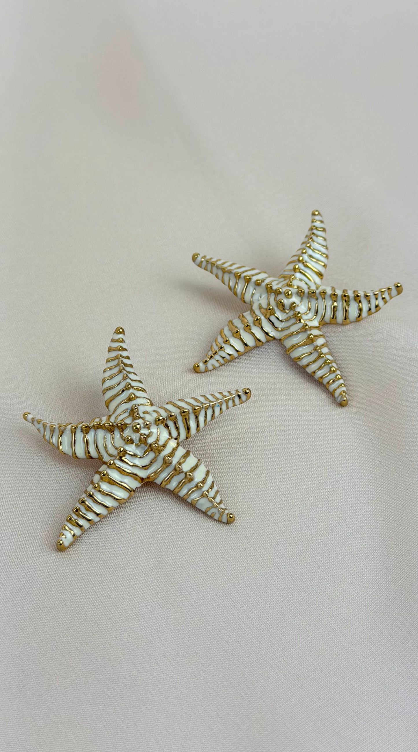 Brincos aço estrela do mar