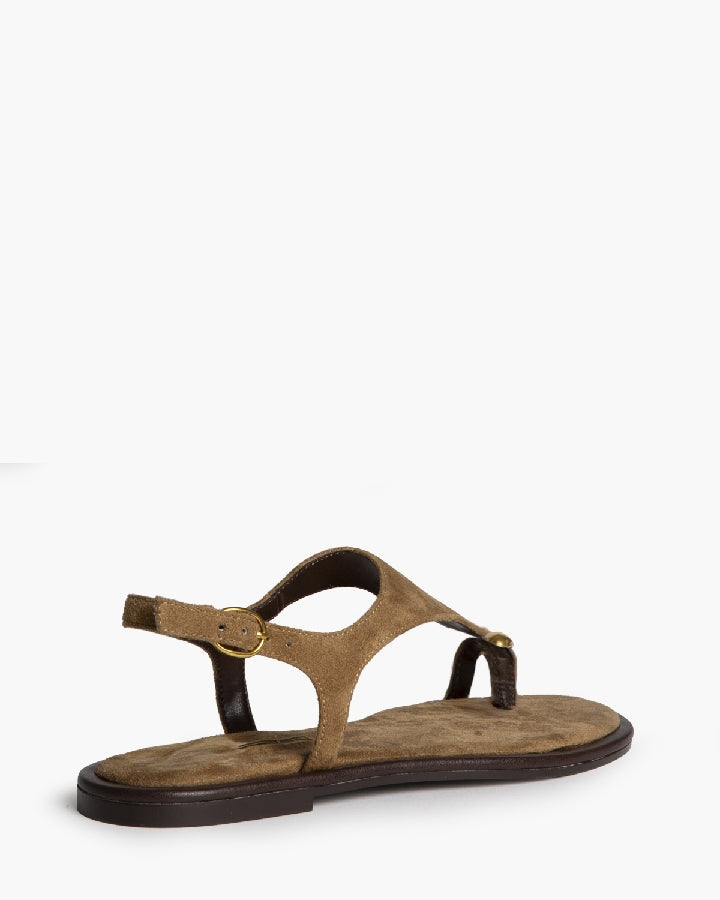 Sandália rasa estilo camurça camel com detalhe dourado