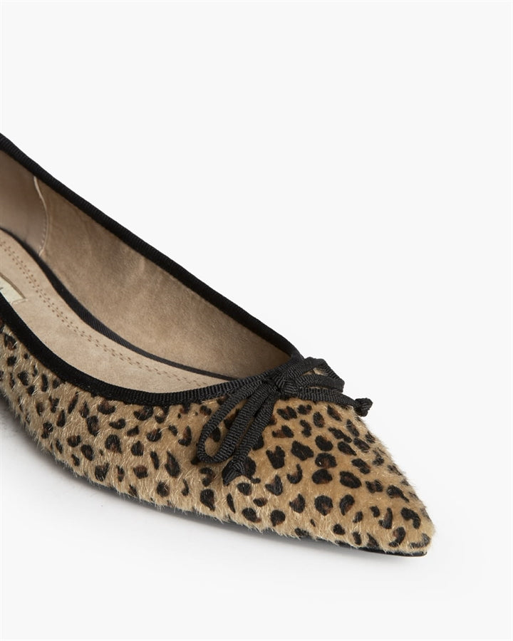 Sapato raso leopardo